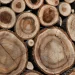 Walnut wood b95de945 c092 4b05 86ff 26dedf56382f 1920x.png