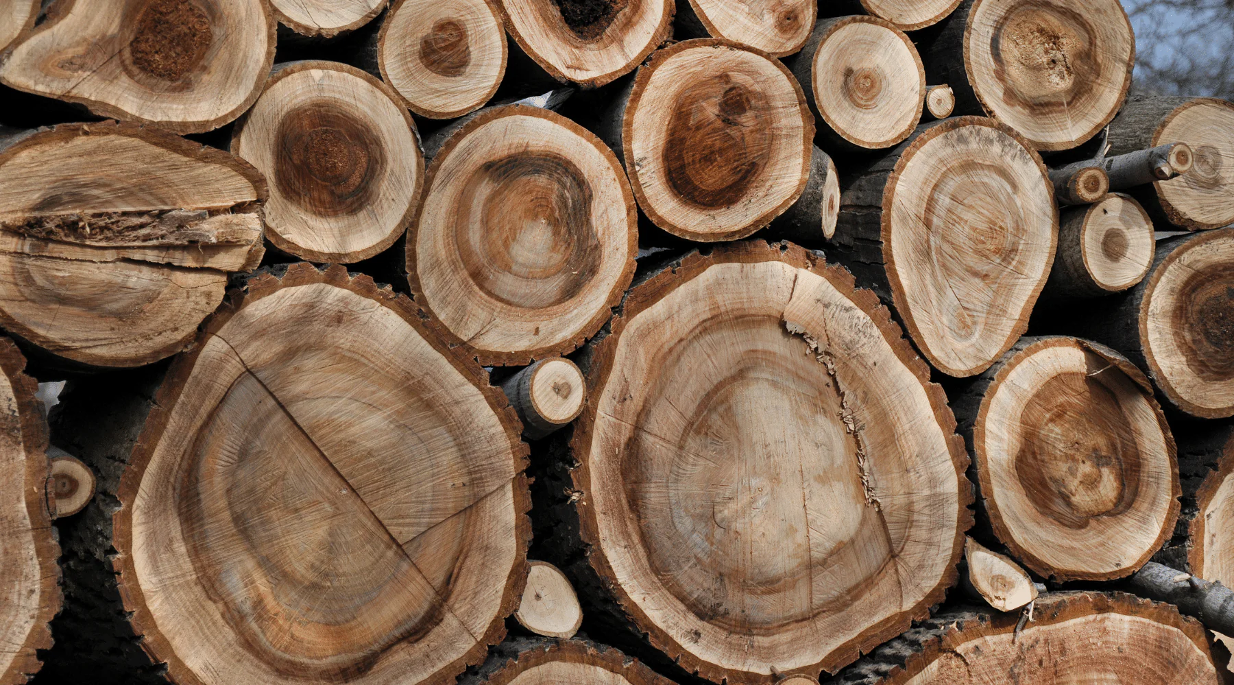 Walnut wood b95de945 c092 4b05 86ff