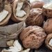 walnut in open form on a wooden background close 2023 11 27 05 05 32 utc
