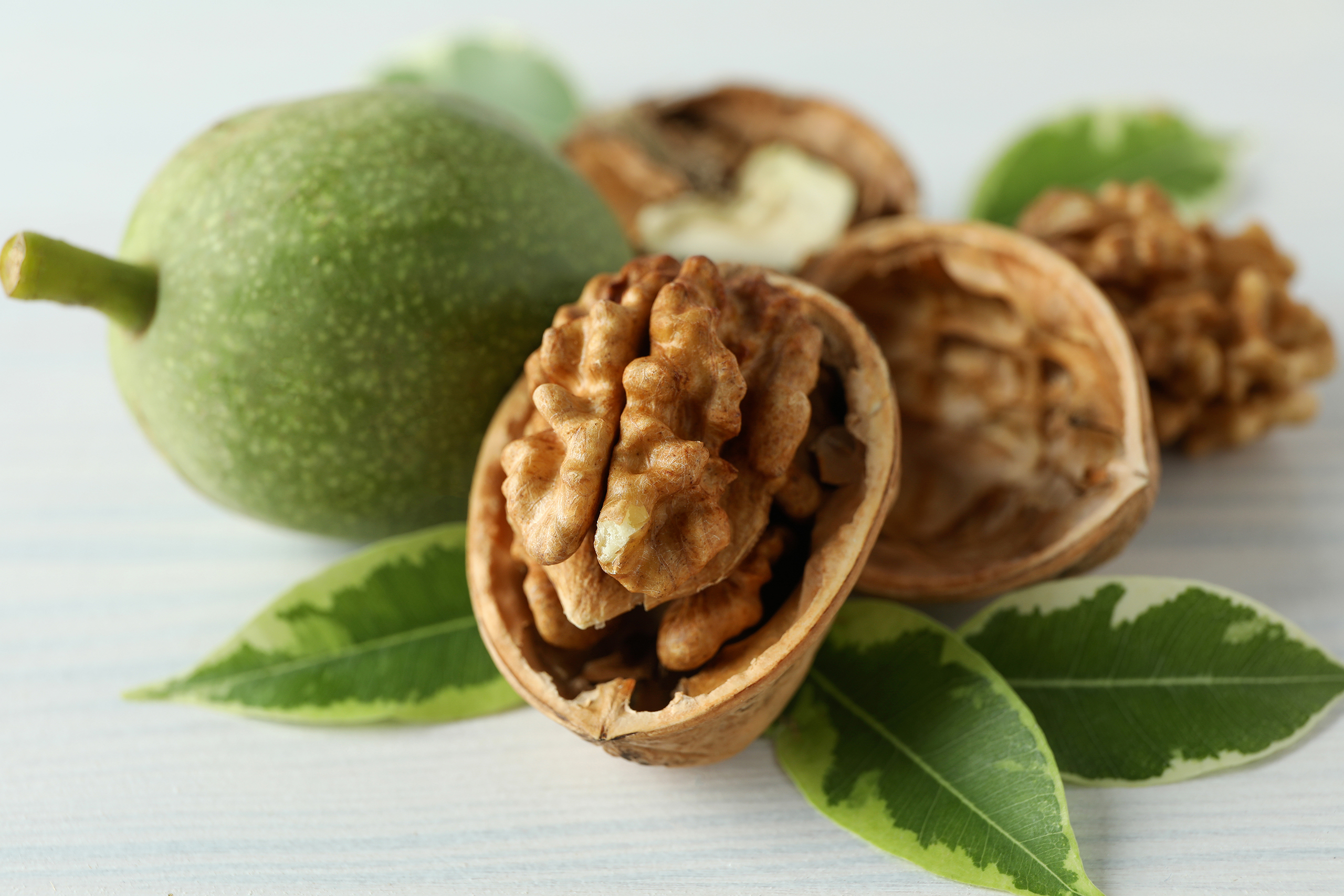 walnuts with nut peel on white wooden background 2023 11 27 04 53 15 utc